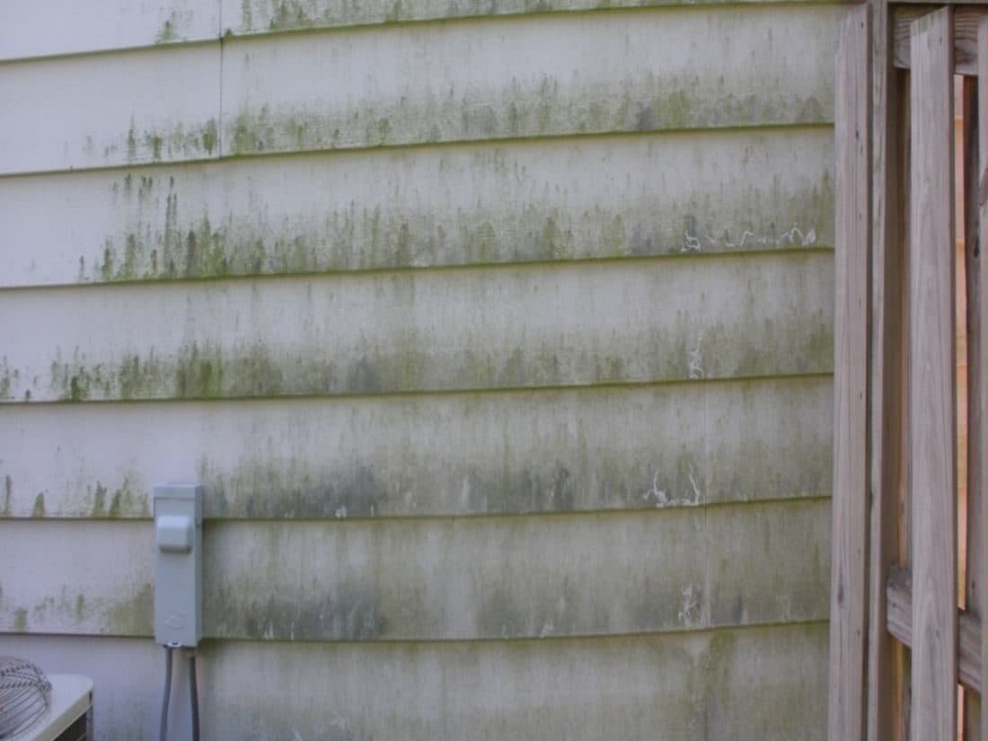 Before: Pale vinyl house siding streaked with green mould and algae